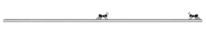 ants3